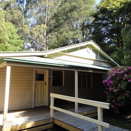 Credo Cottages Olinda Buitenkant foto