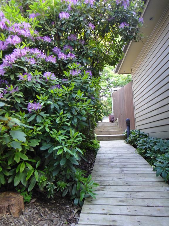 Credo Cottages Olinda Buitenkant foto